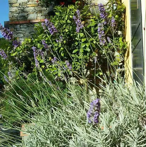 Le Colline Di Bana Hotell