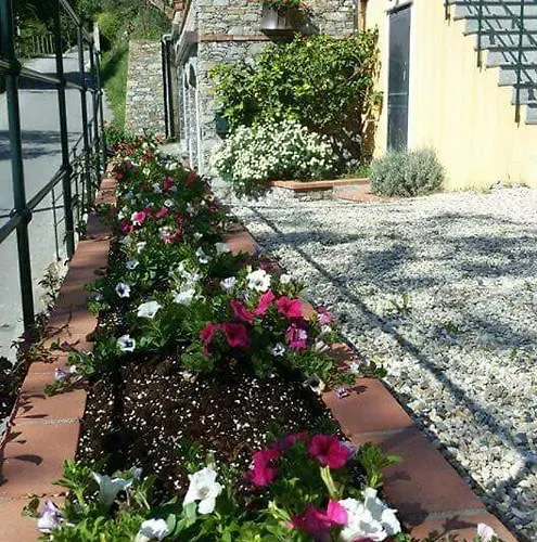 Hotell Le Colline Di Bana Camogli