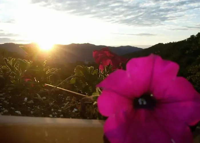 Le Colline Di Bana Camogli