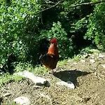 Szálloda Le Colline Di Bana