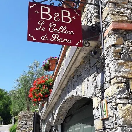 Отель Le Colline Di Bana