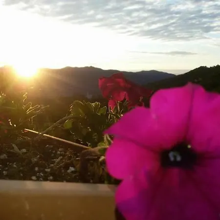 Le Colline Di Bana Камольи