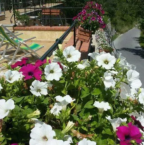 Le Colline Di Bana